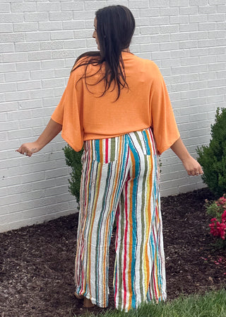 Shimmering Grace Cape Top