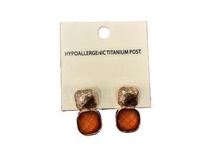 DUBL METAL/STONE EARRING(08694